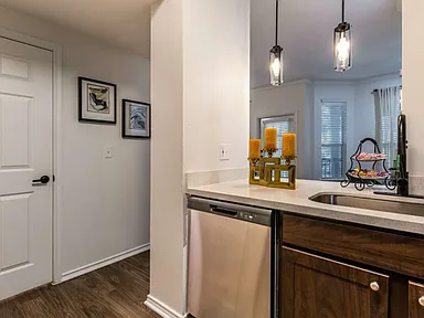Contemporary Houston Apartment with Designer Kitchen photo 3